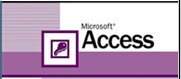 Microsoft Access programmer